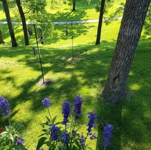 Meet your Posher, Jan